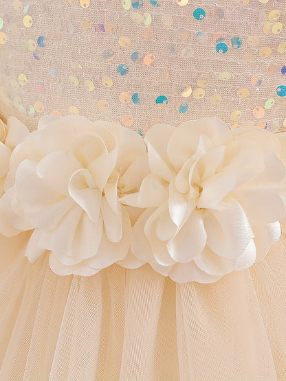 Gorgeous Sequin Tutu Dress