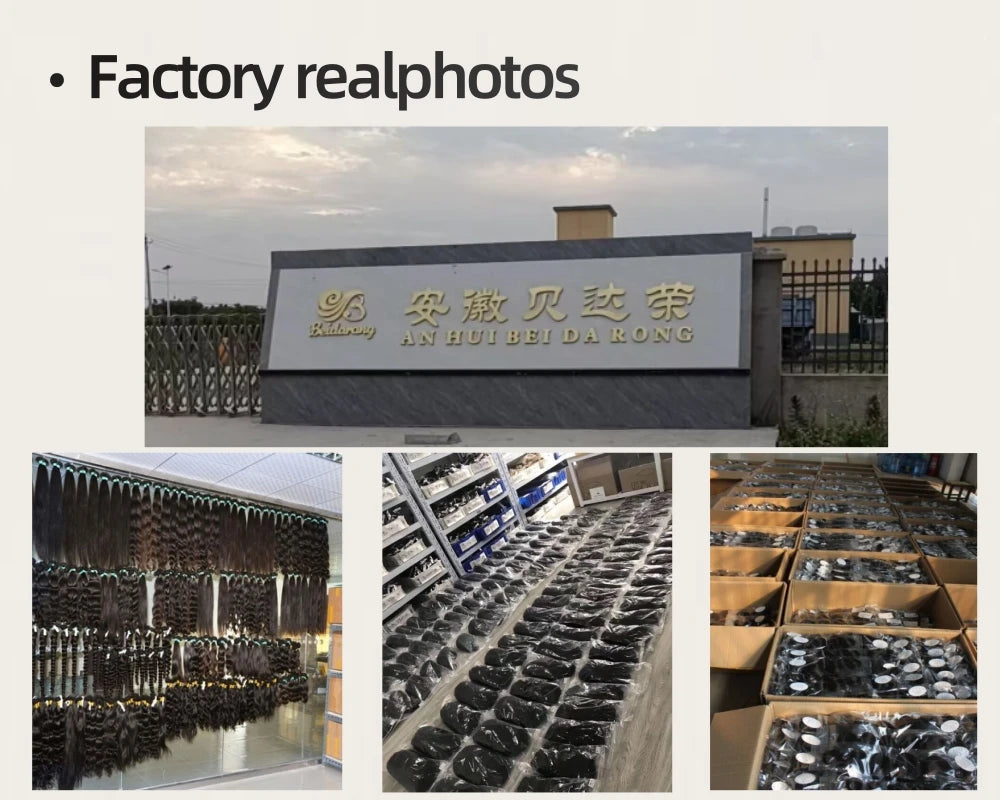 Side Part Wig 13X4 Lace Frontal Wigs Short Wigs for Black Women Human Hair Pixie Cut Wig Lace Front Human Hair Wigs Pre Plucked