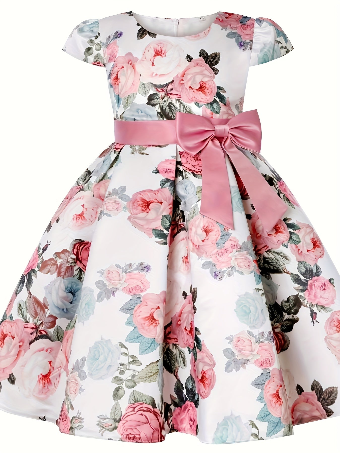 Princess dress, holiday party performance