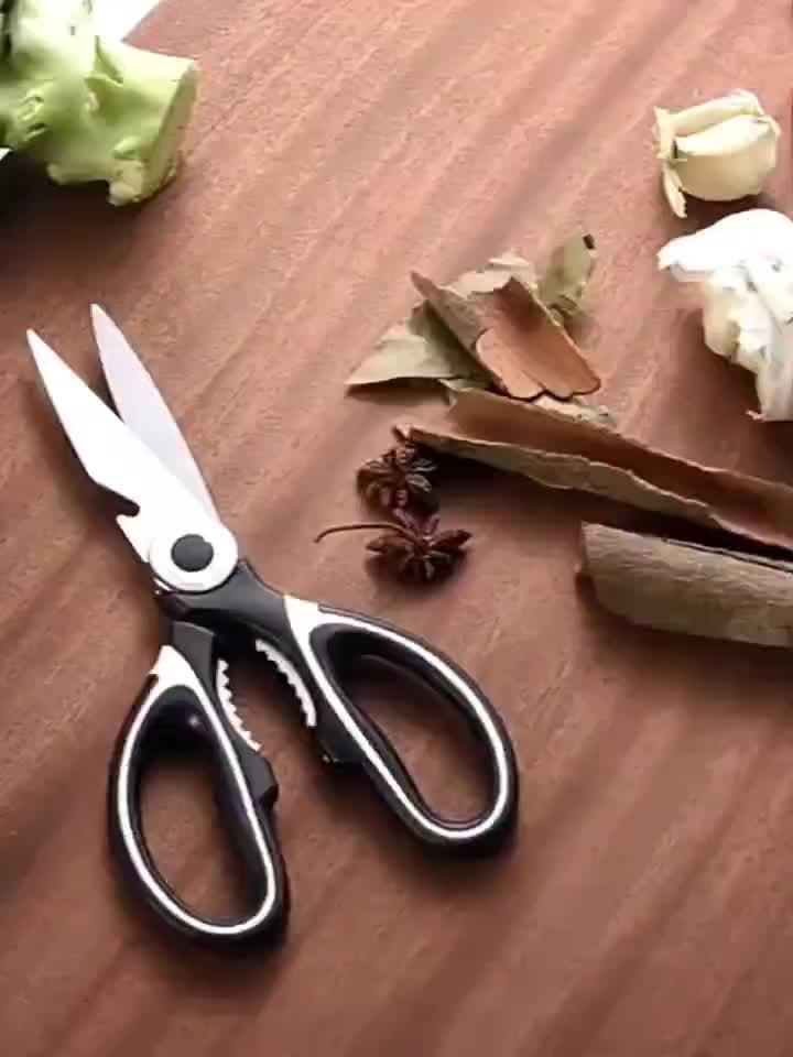 420 Stainless Steel Heavy-Duty Kitchen Shears