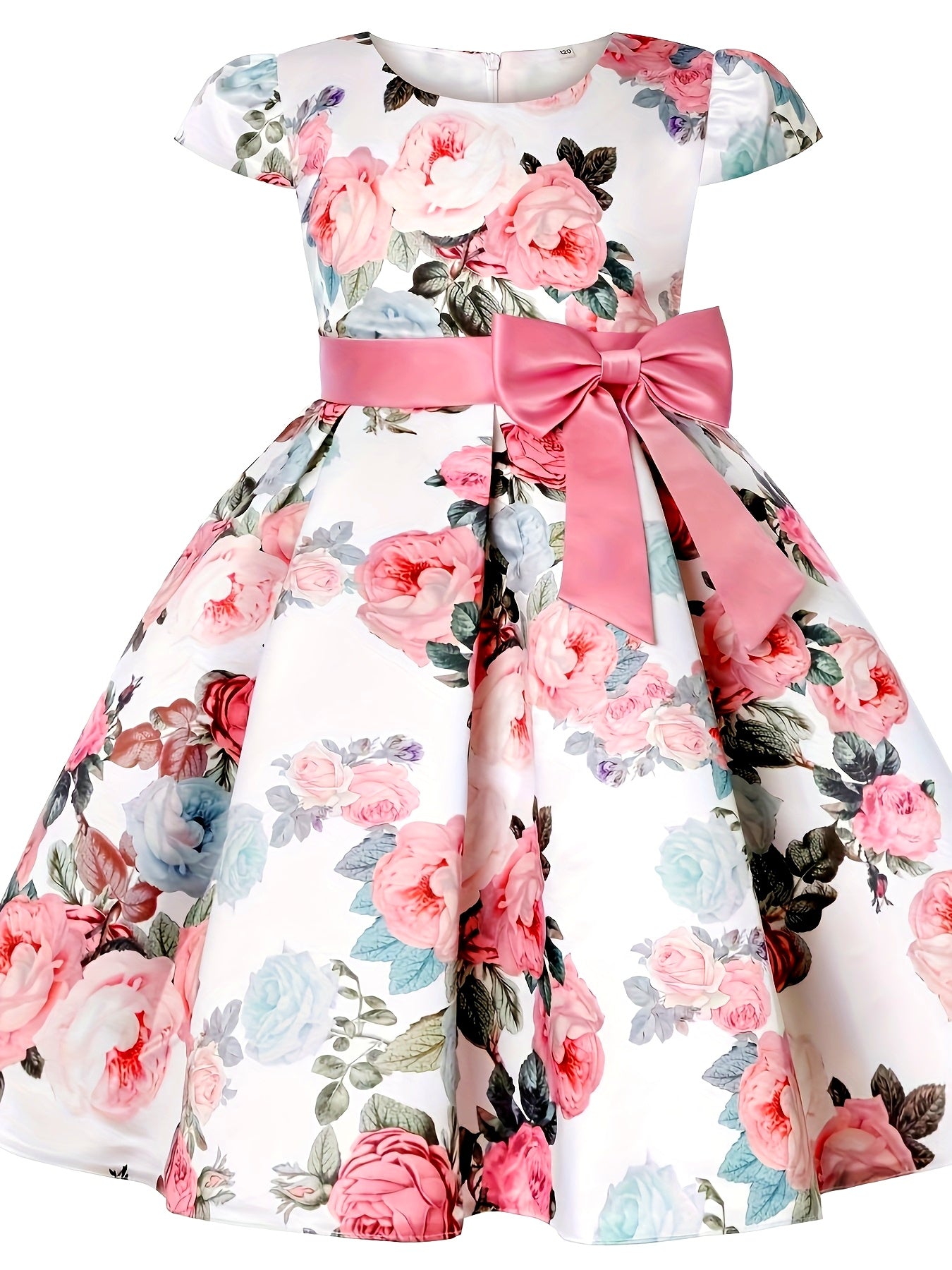 Princess dress, holiday party performance